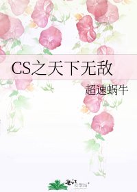 CS之天下无敌